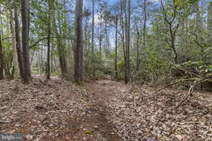 46118 Edgemore Way, Great Mills, MD 20634 - Photo 65