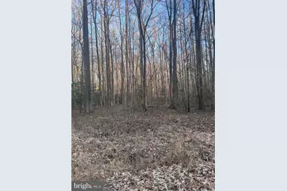 Upland Drive, Bushwood, MD 20618 - Photo 1