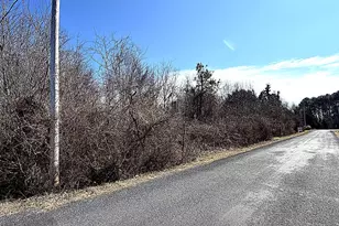 20910 Olen Mattingly Rd, Avenue, MD 20609 - Photo 3