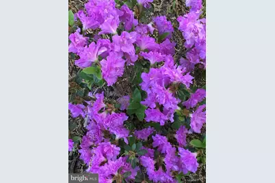 29910 Richard Circle, Mechanicsville, MD 20659 - Photo 5