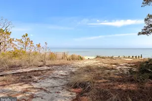 15252 Lake Dr, Scotland, MD 20687 - Photo 73