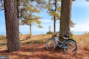 15252 Lake Dr, Scotland, MD 20687 - Photo 81