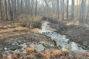 38842 Foley Mattingly Rd, Mechanicsville, MD 20659 - Photo 13