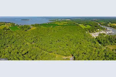 0 Waterloo Road, Coltons Point, MD 20626 - Photo 3