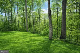 23980 McIntosh Rd, Hollywood, MD 20636 - Photo 7