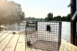 37420 River Springs Rd, Avenue, MD 20609 - Photo 39