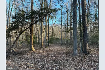 0 Saint Andrews Church Rd, Leonardtown, MD 20650 - Photo 23