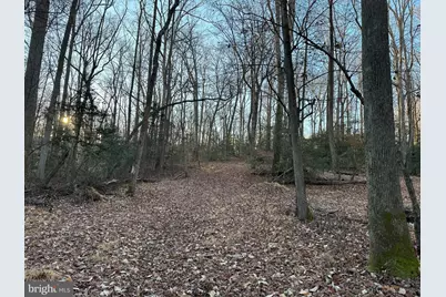 0 Saint Andrews Church Rd, Leonardtown, MD 20650 - Photo 33