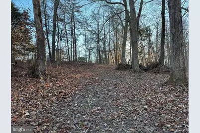 0 Saint Andrews Church Rd, Leonardtown, MD 20650 - Photo 13