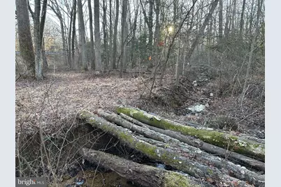 0 Saint Andrews Church Rd, Leonardtown, MD 20650 - Photo 21