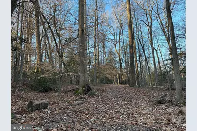 0 Saint Andrews Church Rd, Leonardtown, MD 20650 - Photo 27