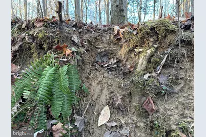 0 Saint Andrews Church Rd, Leonardtown, MD 20650 - Photo 29