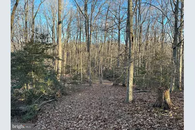 0 Saint Andrews Church Rd, Leonardtown, MD 20650 - Photo 25