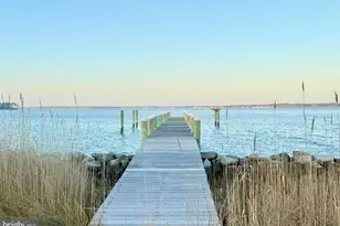 16363 Ball Point Rd, Piney Point, MD 20674 - Photo 63