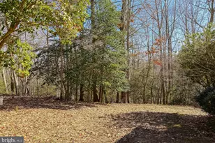 48712 Packer Ct, Saint Inigoes, MD 20684 - Photo 51