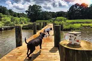 16146 Thomas, Piney Point, MD 20674 - Photo 3