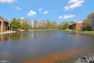 44788 Locust Ridge Ct, California, MD 20619 - Photo 29