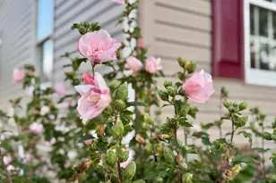 16460 Sayre Point Ln, Piney Point, MD 20674 - Photo 49