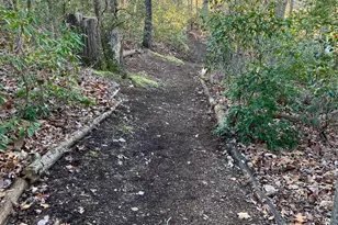 27245 Cat Creek Rd, Mechanicsville, MD 20659 - Photo 53