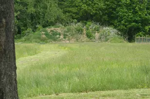 37050 Willie Cheseldine Rd, Bushwood, MD 20618 - Photo 53