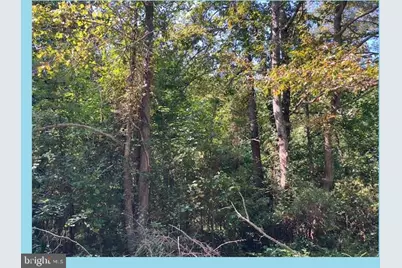 Woodbush Drive, Bushwood, MD 20618 - Photo 1