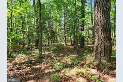 Point Lookout Road, Scotland, MD 20687 - Photo 17