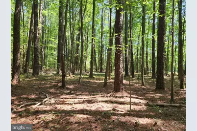 Point Lookout Road, Scotland, MD 20687 - Photo 11