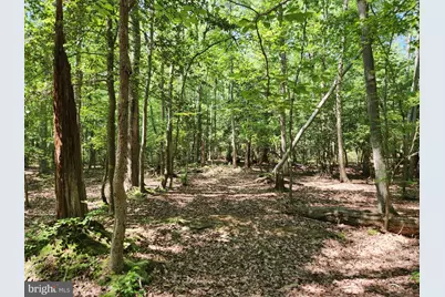 Point Lookout Road, Scotland, MD 20687 - Photo 9