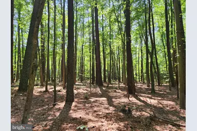 Point Lookout Road, Scotland, MD 20687 - Photo 19