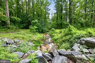 38842 Foley Mattingly Road, Mechanicsville, MD 20659 - Photo 13