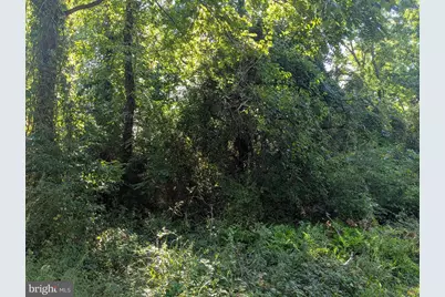 Oakley Drive, Bushwood, MD 20618 - Photo 3