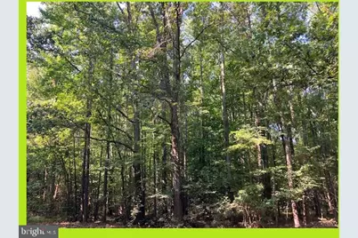 Skyview Drive, Bushwood, MD 20618 - Photo 1