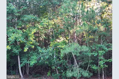 17025 Three Notch Road, Dameron, MD 20628 - Photo 1