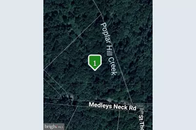 43488 Medleys Neck Road, Leonardtown, MD 20650 - Photo 3