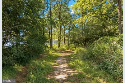 15230 Lake Drive, Scotland, MD 20687 - Photo 91