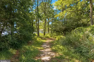 15230 Lake Dr, Scotland, MD 20687 - Photo 91