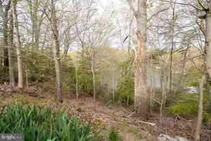 27273 Holly Ln, Mechanicsville, MD 20659 - Photo 13