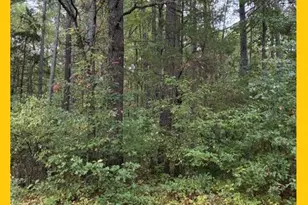 Lot 27 Woodbush Dr, Bushwood, MD 20618 - Photo 1