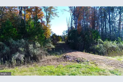 12485 Mallard Lane, Princess Anne, MD 21853 - Photo 9