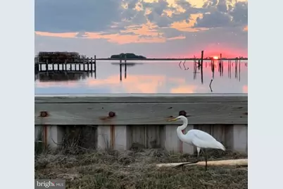 2997 Tylerton Road, Tylerton, MD 21866 - Photo 35