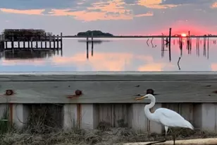 2997 Tylerton Rd, Tylerton, MD 21866 - Photo 35