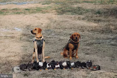 2997 Tylerton Road, Tylerton, MD 21866 - Photo 31