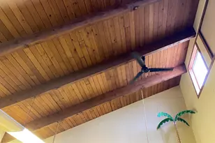 3019 Union Church Rd, Tylerton, MD 21866 - Photo 17