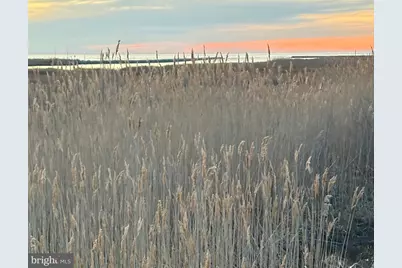 Parcel 0017 Marsh Road, Ewell, MD 21824 - Photo 5