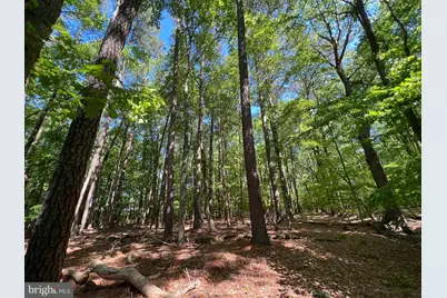 Parcel 40 Revells Neck Road, Westover, MD 21871 - Photo 1