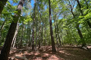 Parcel 40 Revells Neck Rd, Westover, MD 21871 - Photo 1