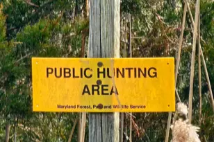 7558 Catlin Rd, Westover, MD 21871 - Photo 37