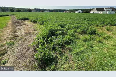 10615 Rosewood Court, Princess Anne, MD 21853 - Photo 5