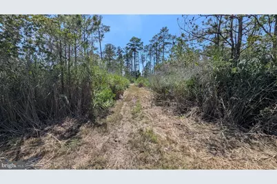 3012 William Maddox Road, Crisfield, MD 21817 - Photo 7