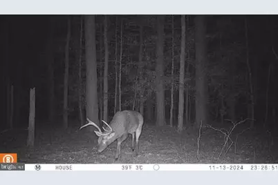 30371 Marumsco Road, Marion Station, MD 21838 - Photo 5